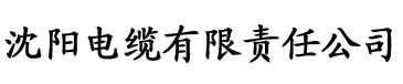 大香蕉综合电影网电缆厂logo